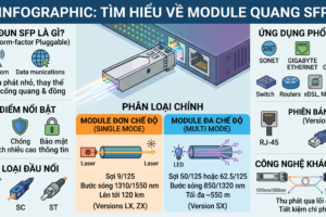 Module quang SFP là gì? Cài đặt module quang như thế nào?