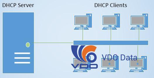 may-chu-dhcp-dhcp-server