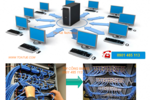 Thiết lập mạng LAN không dây trên Windows Server 2008