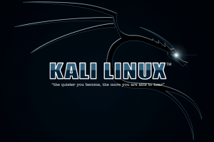 Một số điều cần biết về cách sử dụng Kali Linux