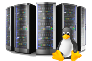 Cách sử dụng và cài đặt một webserver lên máy chủ Linux