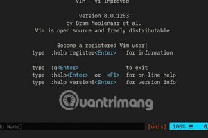 Cách thoát nhanh khi vô tình khởi chạy Vim trong Linux ?