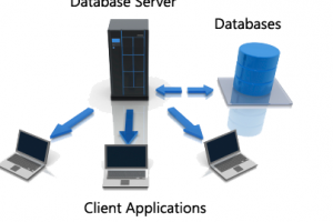 Máy chủ database là gì?