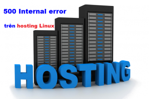 Nguyên nhân và cách xử lý lỗi 500 Internal error trên hosting Linux Directadmin
