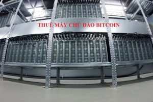 Thuê máy chủ đào bitcoin