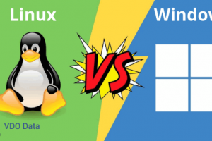 Windows vs Linux – Hệ điều hành nào tốt nhất cho máy chủ?