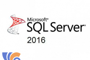 Sự Khác Nhau Của SQL Server 2016: Web, Standard Vs Enterprise
