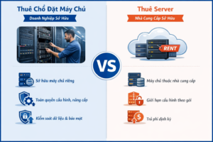 Thuê chỗ đặt máy chủ và thuê máy chủ khác nhau như thế nào?